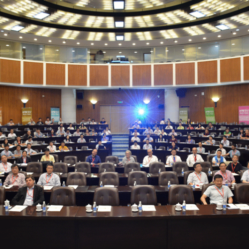 2019-APNFO13